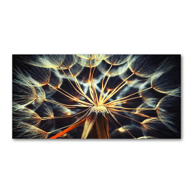 Pusteblumen - Kunstdrucke auf Leinwand - Wrapped Canvas Brayden Studio on Productcaster.