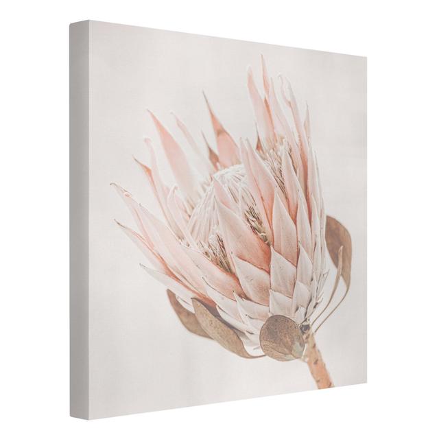 Protea Queen of Flowers by Monika Strigel - Wrapped Canvas Photograph Rosalind Wheeler Size: 60cm H x 60cm W on Productcaster.