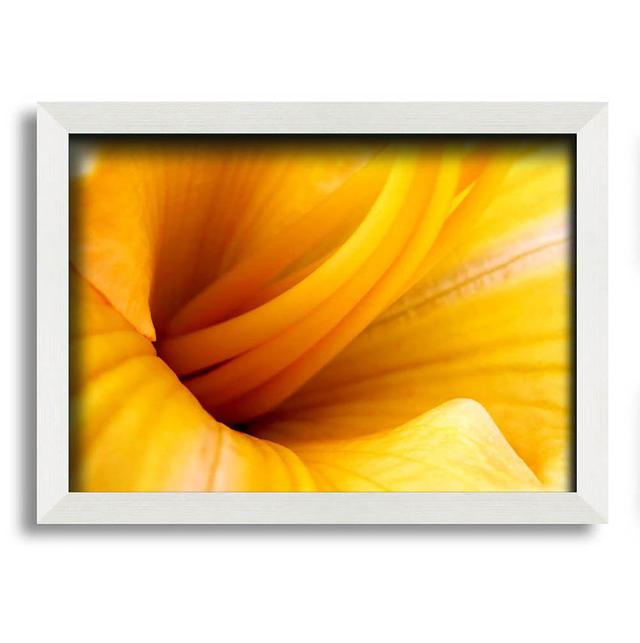 Yellow Trumpet - Single Picture Frame Art Prints Brayden Studio Size: 21cm H x 29.7cm W on Productcaster.