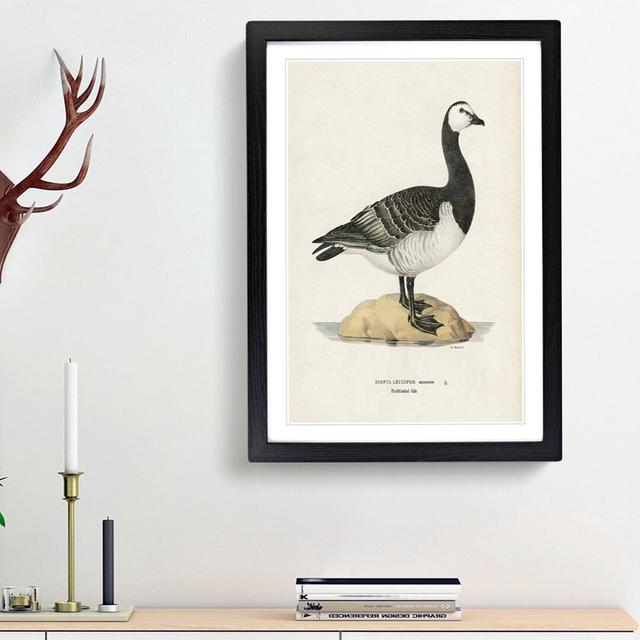 Barnacle Goose by Von Wright - Picture Frame Painting Print East Urban Home Size: 36cm H x 27cm W x 2cm D, Frame Option: Black Framed on Productcaster.