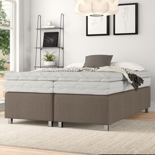 Boxspringbett Reva Zipcode Design Größe: 200 × 200 cm, Farbe: Braun, Matratzenhärte: 7-Zonen-Kaltschaummatratze, H3 on Productcaster.