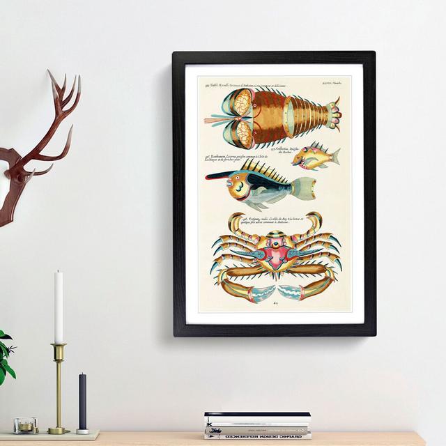 East Indies Lobster, Fish & Crab XLVII by Louis Renard - Picture Frame Graphic Art Print on MDF East Urban Home Frame Option: Black Framed, Size: 48cm on Productcaster.