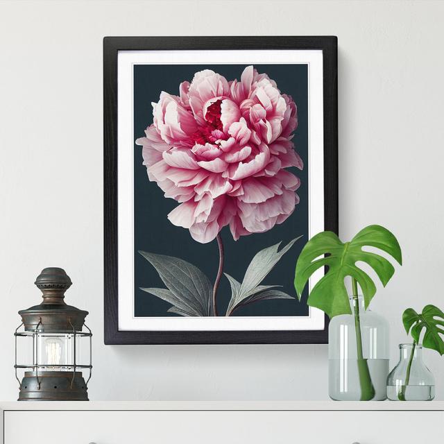 Peony Flower Portrait - Single Picture Frame Graphic Art Marlow Home Co. Size: 64cm H x 46cm W x 2cm D, Frame Option: Black on Productcaster.