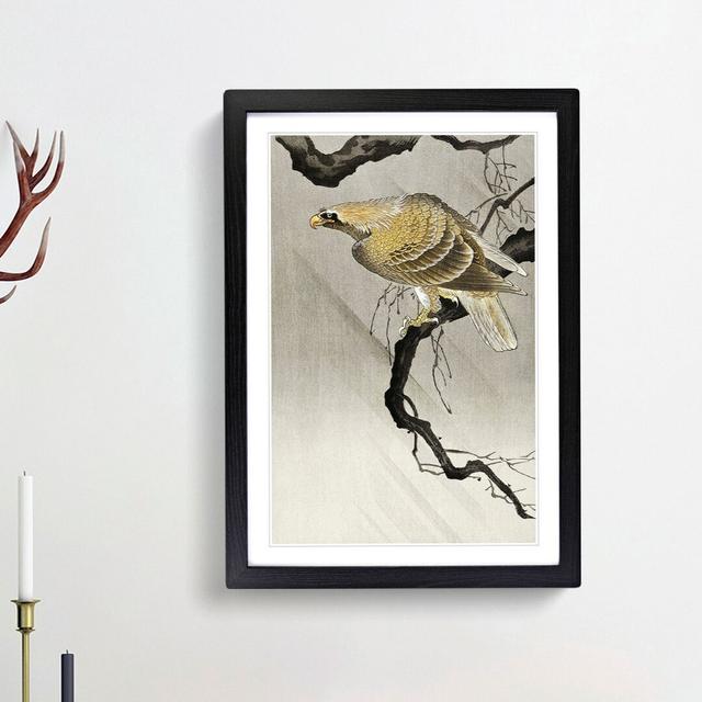 Eagle in the Tree by Ohara Koson - Picture Frame Painting Print East Urban Home Frame Option: Black Framed, Size: 48cm H x 36cm W x 2cm D on Productcaster.