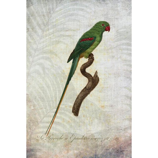 Parrot Jungle III - Wrapped Canvas Art Prints Pergo Classics Size: 122cm H x 81cm W on Productcaster.