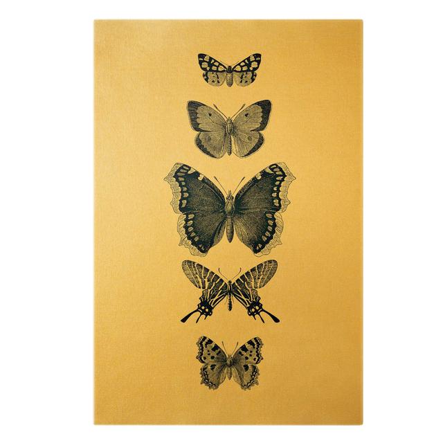 Indian Ink Butterflies on Beige - Wrapped Canvas Graphic Art August Grove Size: 90cm H x 60cm W on Productcaster.