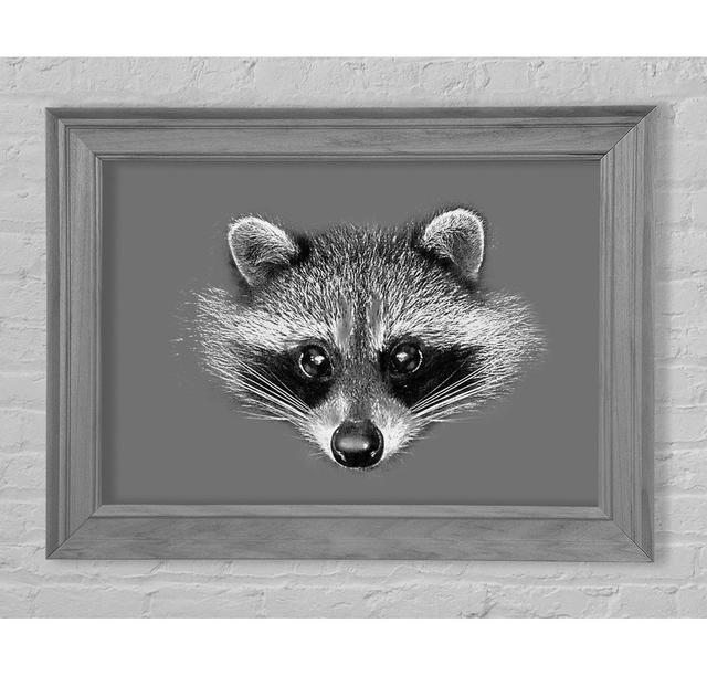 Raccoon On Grey - Single Picture Frame Art Prints Bright Star Size: 21cm H x 42cm W x 8cm D on Productcaster.