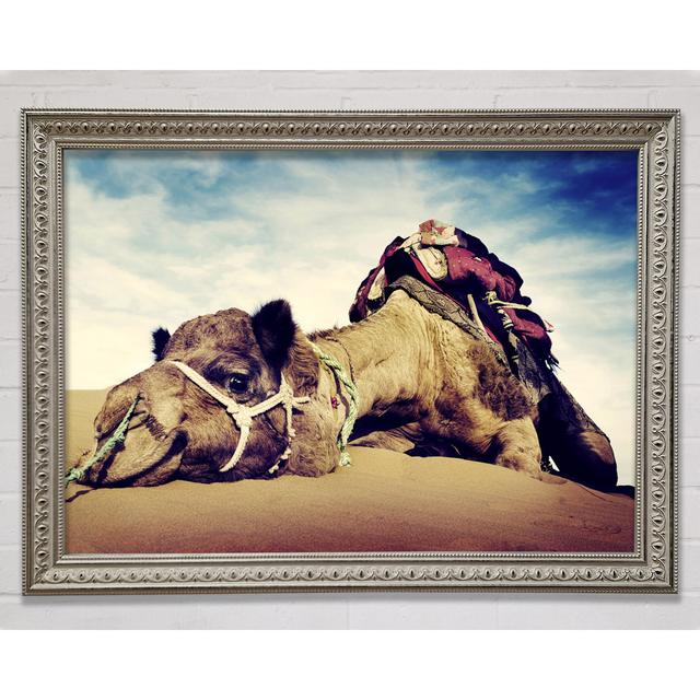 Camel Rest - Print Gracie Oaks Format: Silver Framed Paper, Size: 42cm H x 59.7cm W x 3cm D on Productcaster.