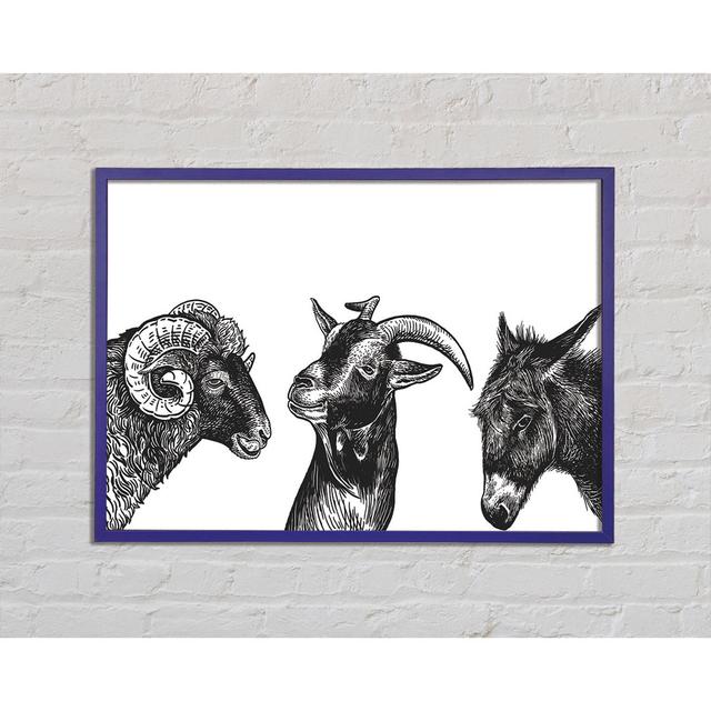 Goat Sheep Donkey - Print August Grove Size: 59.7cm H x 84.1cm W x 2cm D on Productcaster.