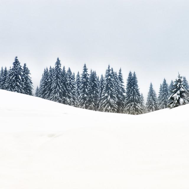 Winterlandschaft von Loops7 - Drucken Alpen Home Größe: 61 cm H x 91 cm B x 3,8 cm T on Productcaster.