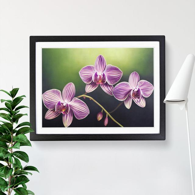 Supreme Orchid Flowers - Picture Frame Graphic Art Marlow Home Co. Frame Colour: Black, Size: 34cm H x 46cm W x 2cm D on Productcaster.