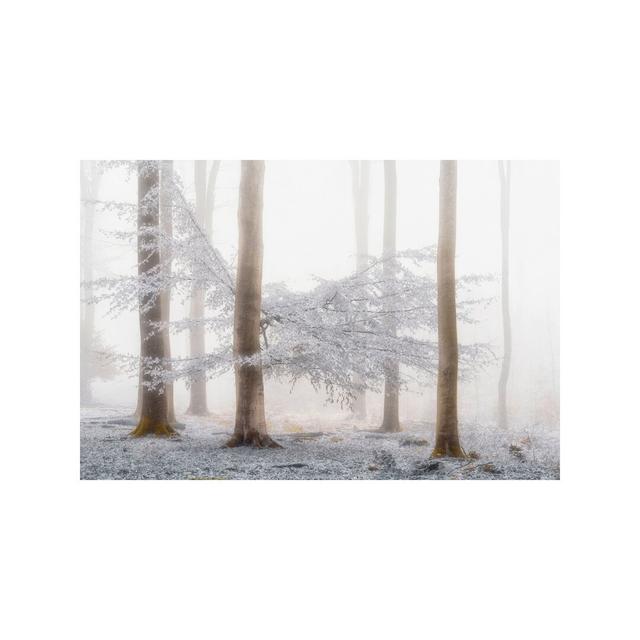 Lishka by Lars Van De Goor - Wrapped Canvas Print East Urban Home Size: 66.04cm H x 101.6cm W x 3.81cm D on Productcaster.