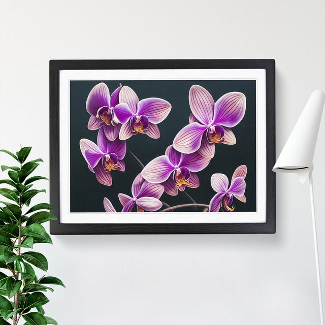 Evolving Orchid Flowers - Single Picture Frame Print Marlow Home Co. Frame Colour: Black, Size: 34cm H x 46cm W x 2cm D on Productcaster.