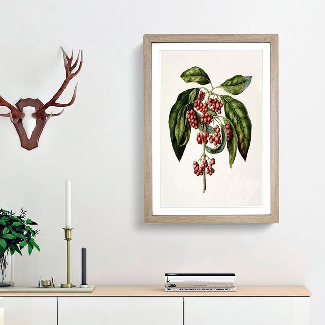 Coprosma Australis Kanono Flowers by Sarah Featon - Picture Frame Painting Print East Urban Home Size: 48cm H x 36cm W x 2cm D, Frame Option: Oak Fram on Productcaster.