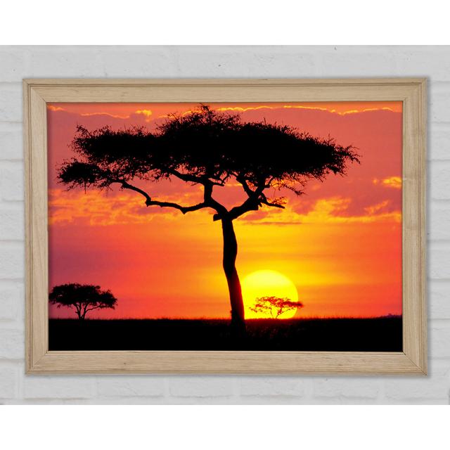 Sonnenuntergang in Kenia - Drucken Rosalind Wheeler Größe: 42,1 cm H x 59,7 cm B x 1,5 cm T on Productcaster.