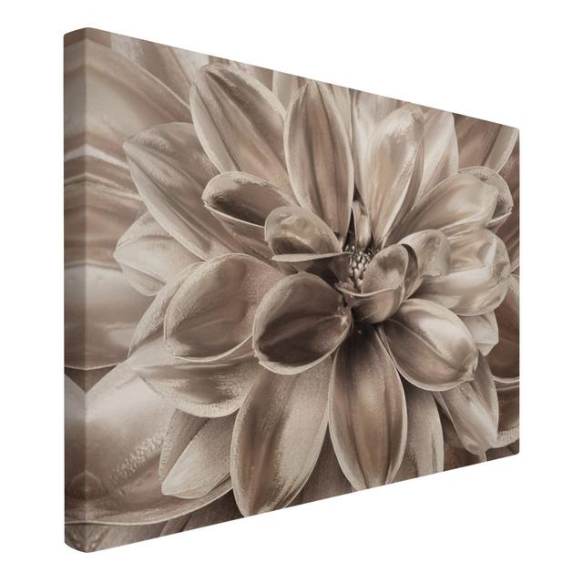 Dahlia Dream - Wrapped Canvas Painting Rosalind Wheeler Colour: Brown, Format: Canvas, Size: 100cm H x 150cm W on Productcaster.