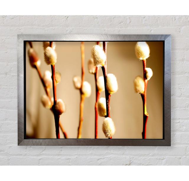 Pussy Willow - Single Picture Frame Art Prints Bright Star Size: 84.1cm H x 118.9cm W x 3.4cm D on Productcaster.