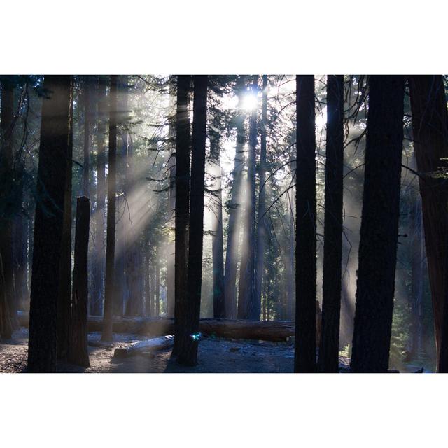 Yosemite National Park by Martijn_m - Wrapped Canvas Print 17 Stories Size: 20cm H x 30cm W on Productcaster.