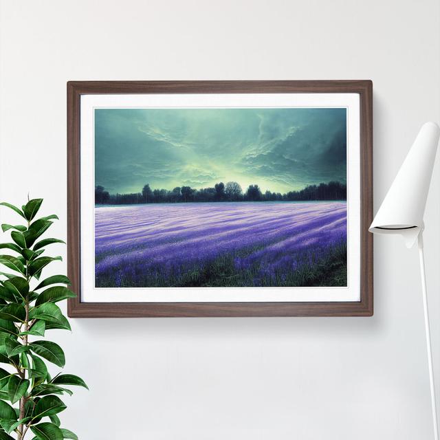 Illuminated Bluebell Field - Picture Frame Painting Lily Manor Frame Colour: Walnut, Size: 25cm H x 34cm W x 2cm D on Productcaster.