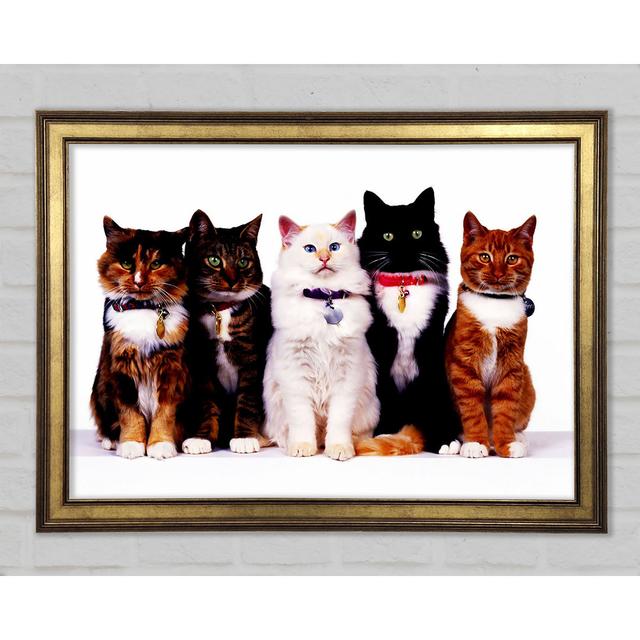 Familie der Katzen - Drucken Ebern Designs Größe: 84,1 cm H x 118,9 cm B x 1,5 cm T on Productcaster.