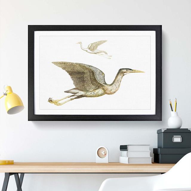 Crane & Bittern by Johan Teyler - Picture Frame Painting Print East Urban Home Size: 36cm H x 48cm W x 2cm D, Frame Option: Black Framed on Productcaster.