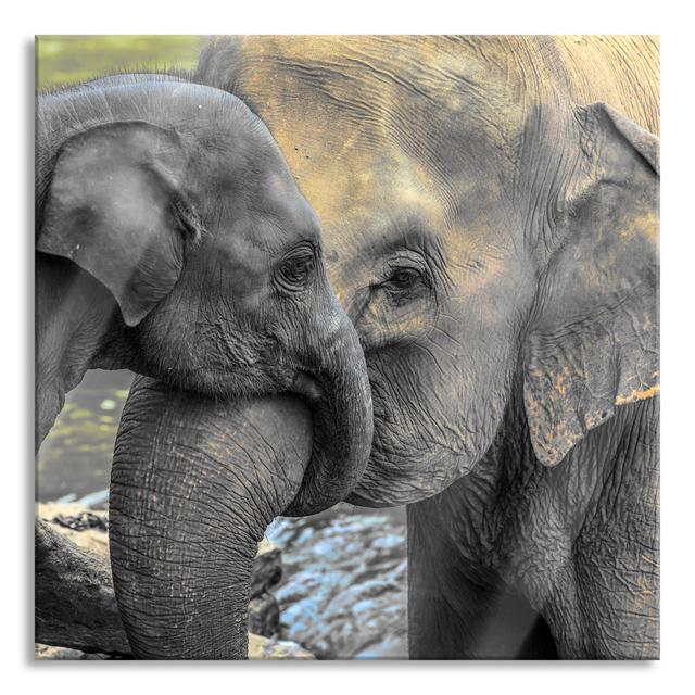 Elephant Mother With Calf - No Frame Print on Glass 17 Stories Size: 70cm H x 70cm W x 0.4cm D on Productcaster.