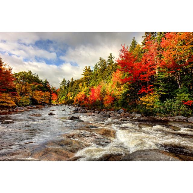 Autumn In The White Mountains Of New Hampshire by DenisTangneyJr - Print Alpen Home Size: 20cm H x 30cm W on Productcaster.