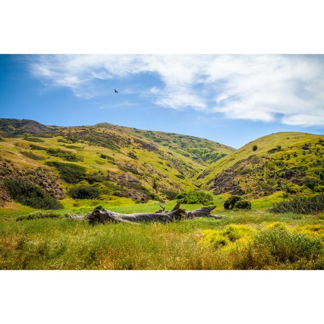 Santa Cruz Island by GaryKavanagh - Wrapped Canvas Print Alpen Home Size: 20cm H x 30cm W on Productcaster.