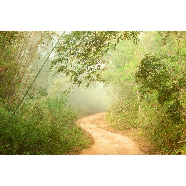 Ground Road in Jungle - Wrapped Canvas Photograph Ebern Designs Size: 51cm H x 76cm W x 3.8cm D on Productcaster.