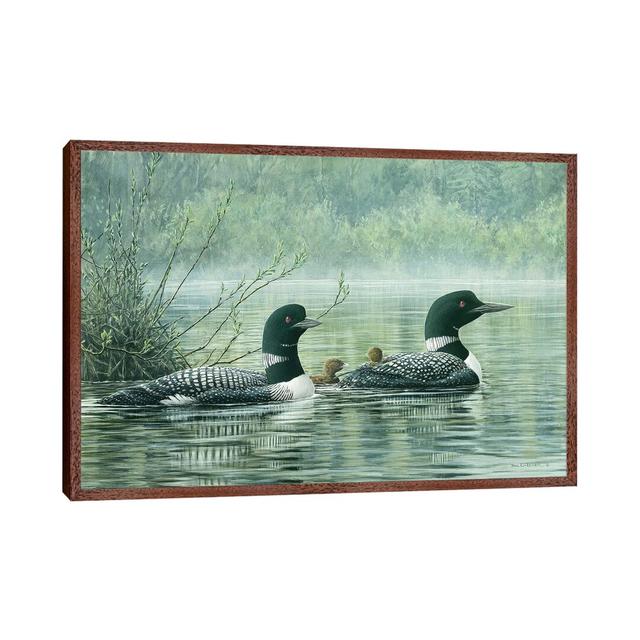 Northern Reflections - Loons by Don Li-Leger - Floater Frame Print on Canvas August Grove Frame Option: Brown Framed, Size: 66.04cm H x 101.6cm W x 3. on Productcaster.