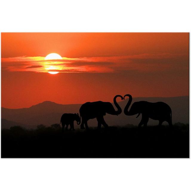 Elephants in Love - Wrapped Canvas Photograph Print East Urban Home Size: 90 cm x 60 cm on Productcaster.