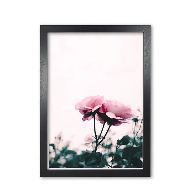 Rose - Photograph Print on Paper East Urban Home Format: Black Grain Frame, Size: 85 cm H x 60 cm W x 5 cm D on Productcaster.