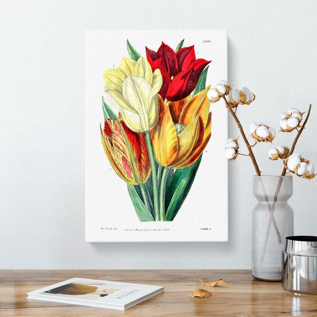 Rough-Stemmed Tulips - Wrapped Canvas Painting East Urban Home Size: 76cm H x 50cm W x 3cm D on Productcaster.