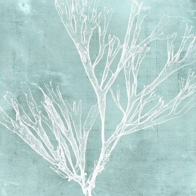 Seaweed On Aqua VII By Vision Studio - Wrapped Canvas Painting Print House of Hampton Size: 76cm H x 76cm W x 3.8cm D on Productcaster.