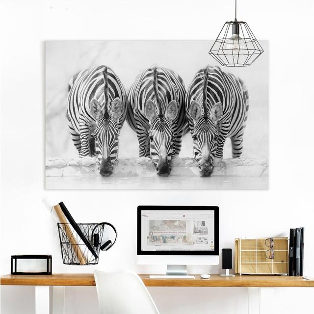 Zebra Trio in Black and White - Wrapped Canvas Photograph Ebern Designs Size: 60cm H x 90cm W, Format: 330g/m³ recycled canvas on Productcaster.