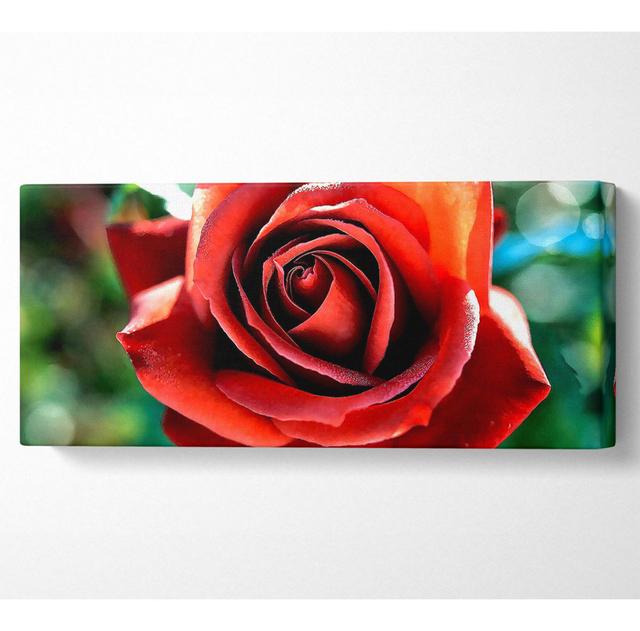 Beautiful Rose in the Garden - Wrapped Canvas Art Prints Ebern Designs Size: 71cm H x 162.5cm W on Productcaster.