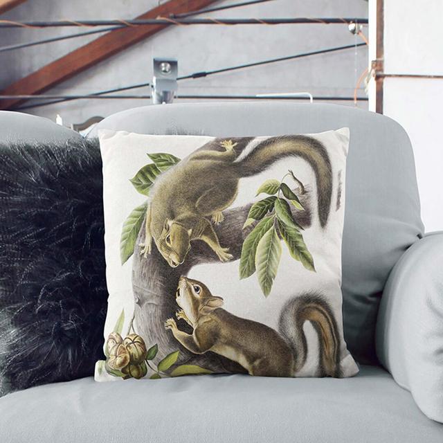 Hare Squirrels by J.W. Audubon Cushion with Filling East Urban Home Size: 55cm H x 55cm W x 20cm D on Productcaster.