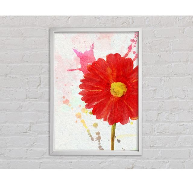 Gerbera Splash - Einzelner Bilderrahmen Kunstdrucke auf Leinwand Bright Star Größe: 141,4 cm H x 100 cm B x 3,3 cm T on Productcaster.