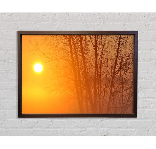 Sky - Single Picture Frame Art Prints on Canvas Bright Star Size: 59.7cm H x 84.1cm W x 3.3cm D on Productcaster.