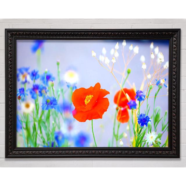 Lovely Poppy Garden - Print Bright Star Size: 21cm H x 29.7cm W on Productcaster.