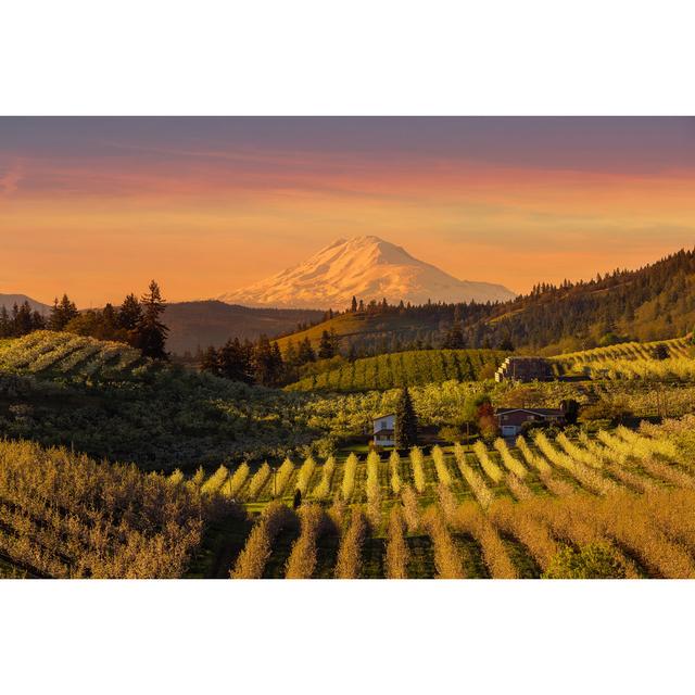 Golden Sunset Over Mount Adams And Hood River Valley Pear Orchards Springtime Union Rustic Size: 81cm H x 122cm W on Productcaster.