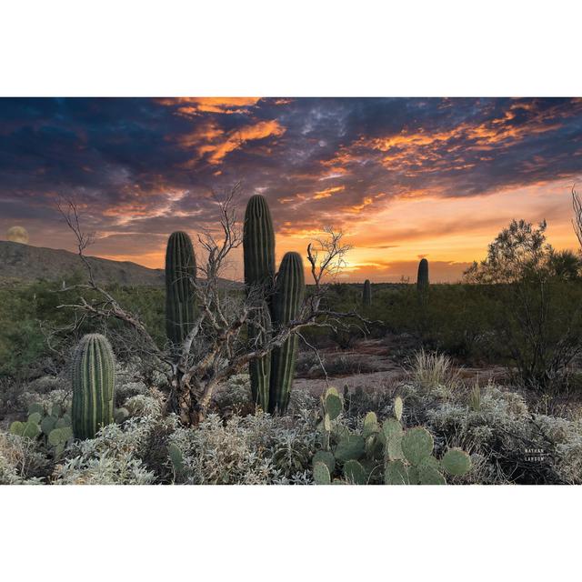 Sunset Moonrise - Wrapped Canvas Art Prints Natur Pur Size: 51cm H x 76cm W x 3.8cm D on Productcaster.