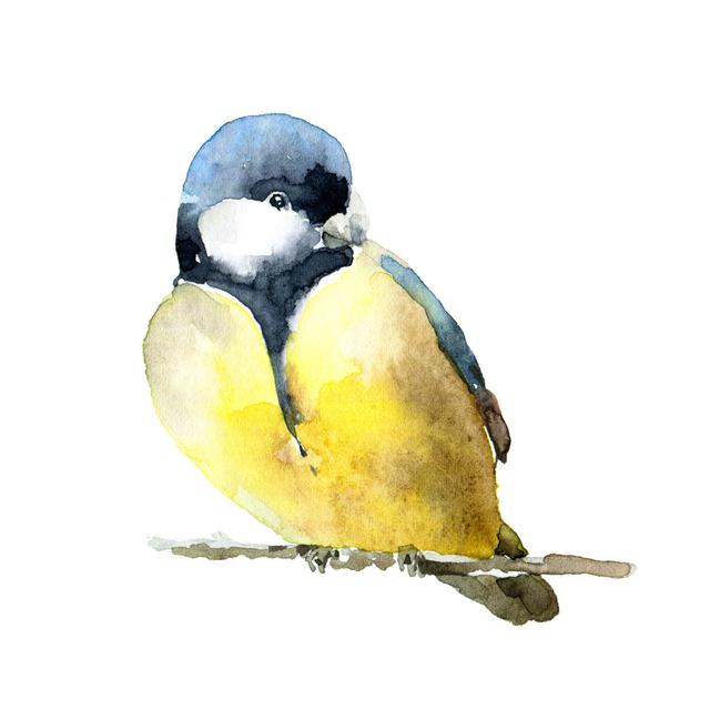 Rockvale Titmouse On White Background by Mika_48 - Wrapped Canvas Painting ClassicLiving Size: 30cm H x 30cm W x 3.8cm D on Productcaster.