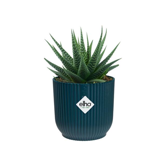 Pot Planter Elho Size: 10.5cm H x 11.1cm W x 11.1cm D, Colour: Deep Blue on Productcaster.