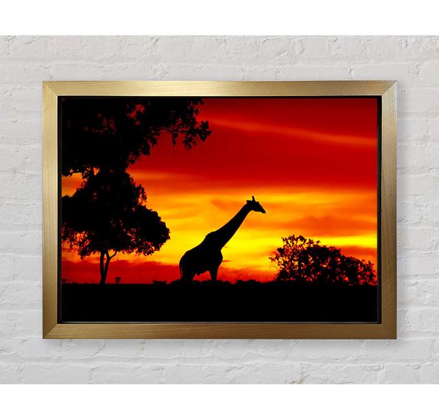 Giraffe At Dawn - Single Picture Frame Art Prints Bright Star Size: 100cm H x 141.4cm W x 3.4cm D on Productcaster.