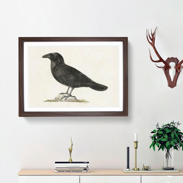 Common Raven by Von Wright - Picture Frame Painting Print East Urban Home Size: 48cm H x 65cm W x 2cm D, Frame Option: Walnut Framed on Productcaster.