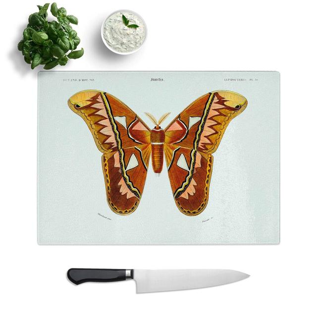 Tempered Glass Attacus Atlas Moth Chopping Board East Urban Home Size: 28.5 cm W x 20 cm L on Productcaster.