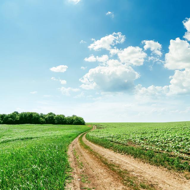 Spring Fields And Clouds 17 Stories Size: 51cm H x 51cm W on Productcaster.