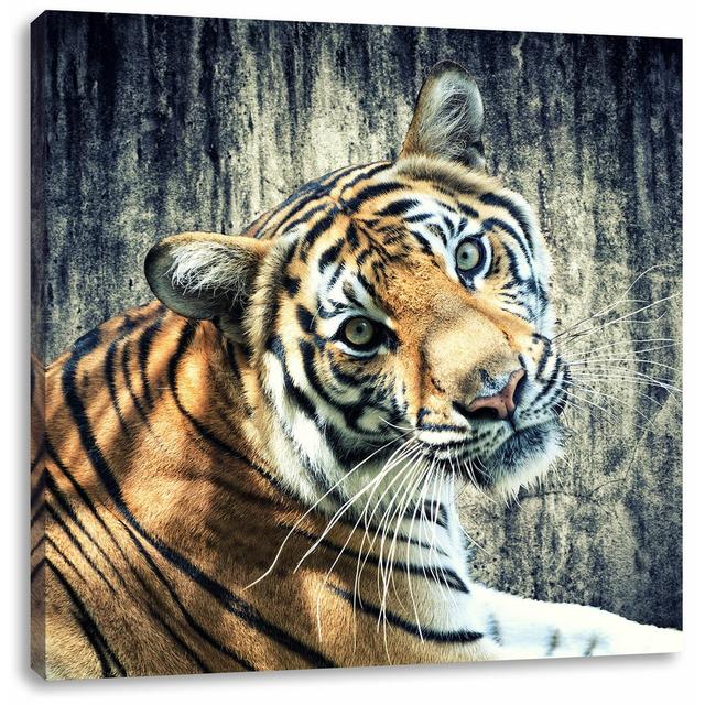 Leinwandbild Neugieriger Tiger East Urban Home Größe: 70 cm H x 70 cm B on Productcaster.