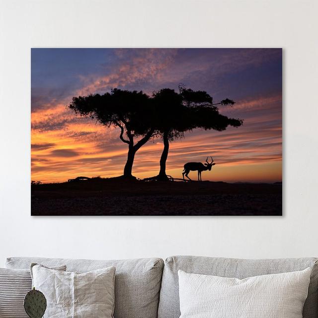 A New Dawn by Dominic Liam - Wrapped Canvas Photograph Print East Urban Home Size: 61cm H x 91cm W x 4cm D on Productcaster.